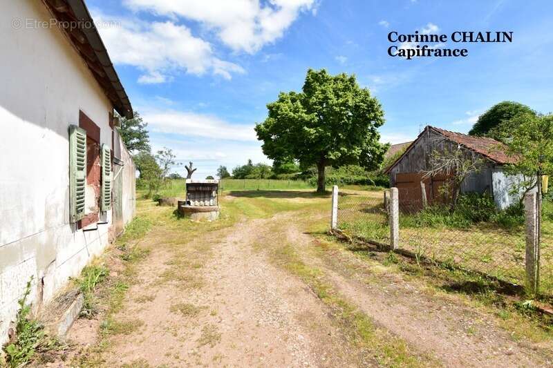 Longère à vendre 4 pièces 75m2 sur 1500m2 de terrain LIERNOLLES (03) - photo 4
