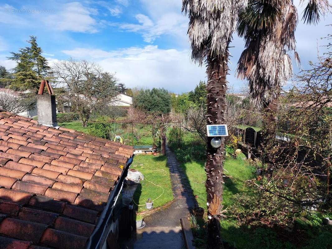 Photo 7 - Maison à CASTRES