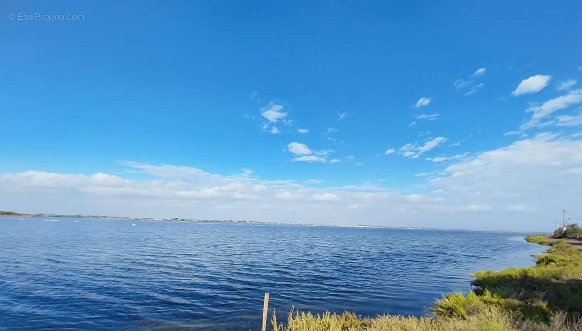Terrain à MARSEILLAN