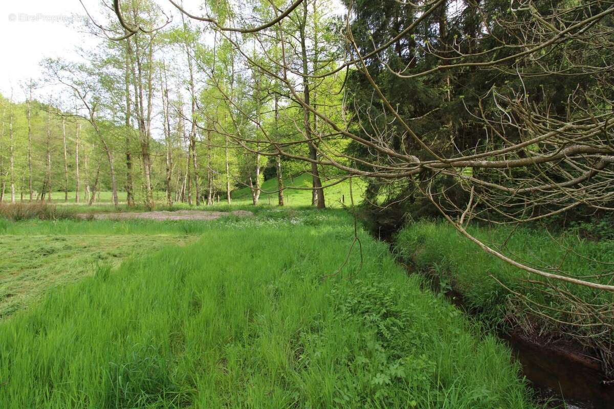 Photo 6 - Terrain à FROHMUHL