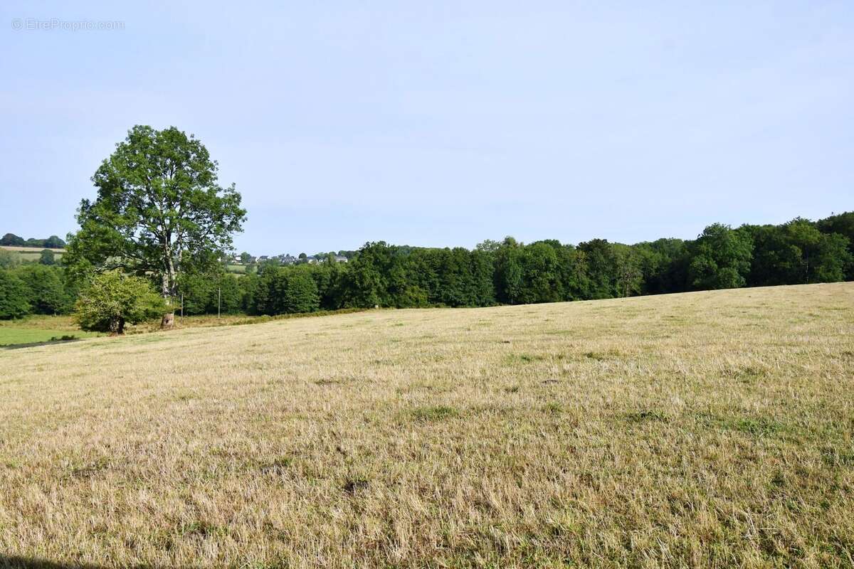 Maison 62 m² à Arleuf  - photo 8