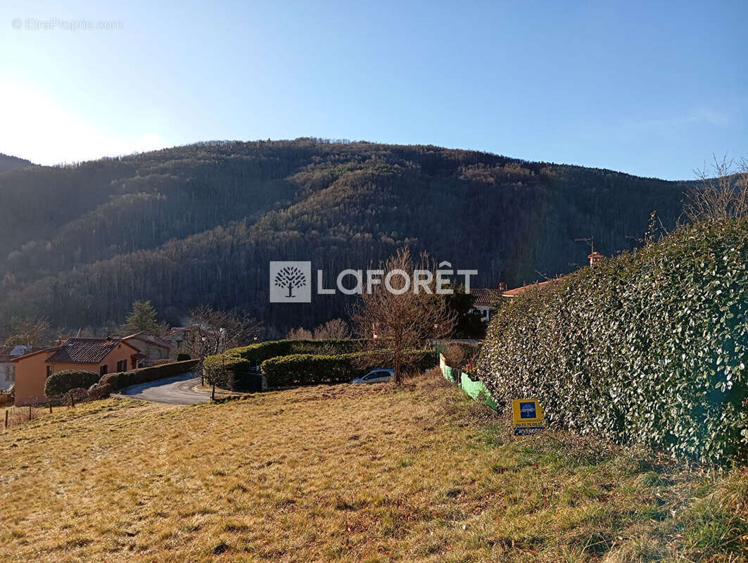 Terrain à PRATS-DE-MOLLO-LA-PRESTE