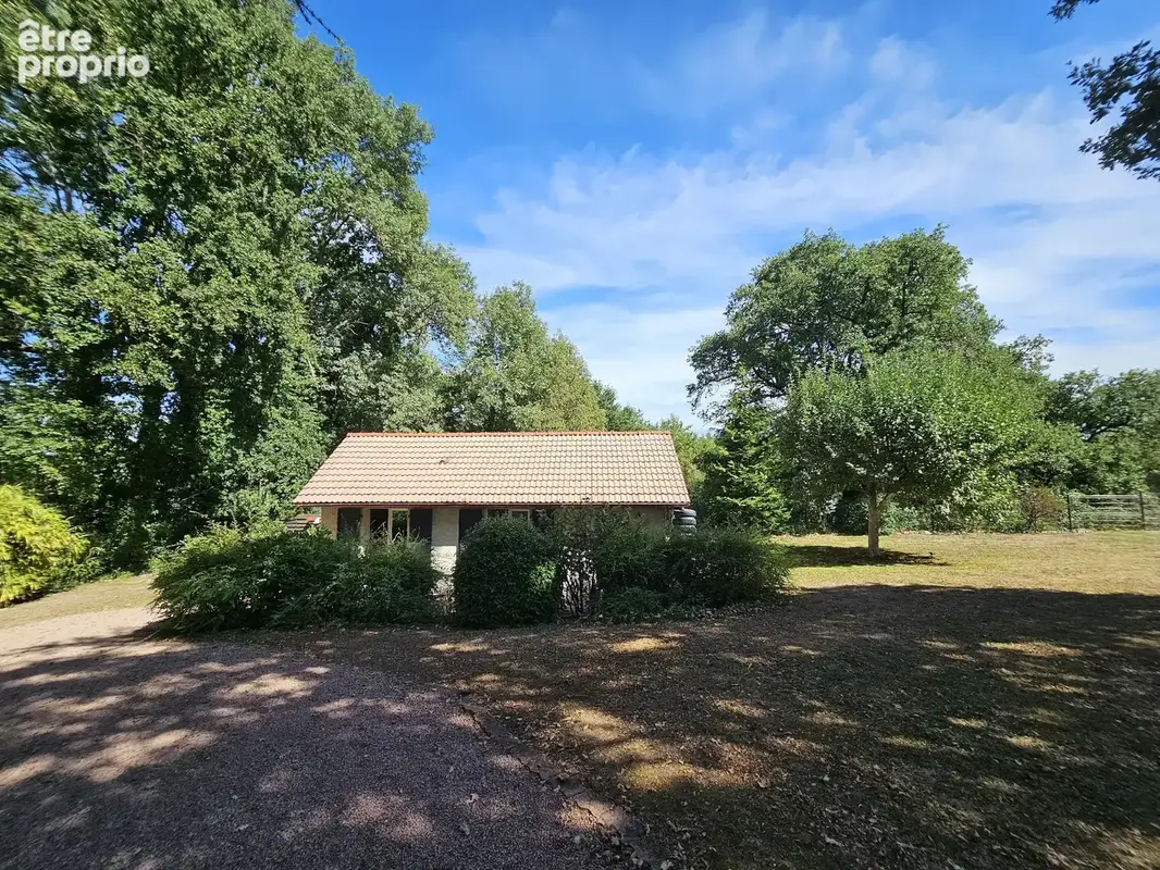 Bellerive-sur-allier   villa de caractère avec piscine et parc arboré ! - photo 11
