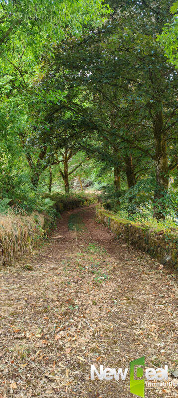 Exceptionnel Domaine sur 9ha en bordure d'étang - photo 29