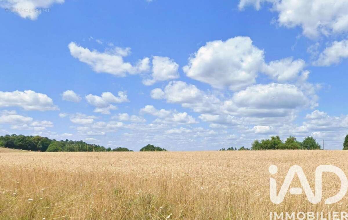Photo 2 - Terrain à NEUVIC-ENTIER