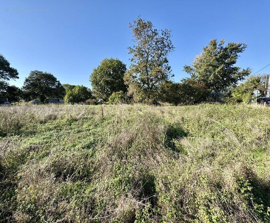 Terrain à LA TREMBLADE