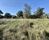 Terrain à LA TREMBLADE