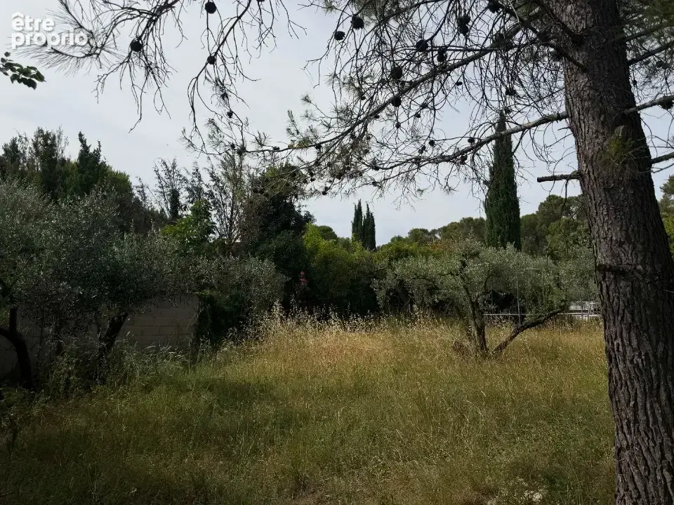 Terrain à CONGENIES