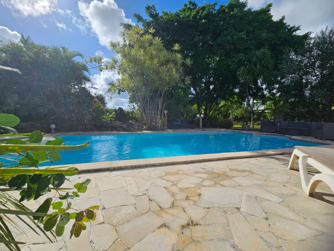 Maison à SAINT-FRANCOIS