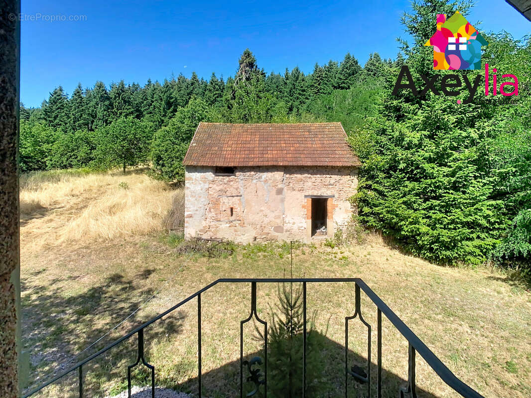 A vendre- proche lapalisse-  maison avec dépendances sur terrain de plus de 2 ha - photo 4