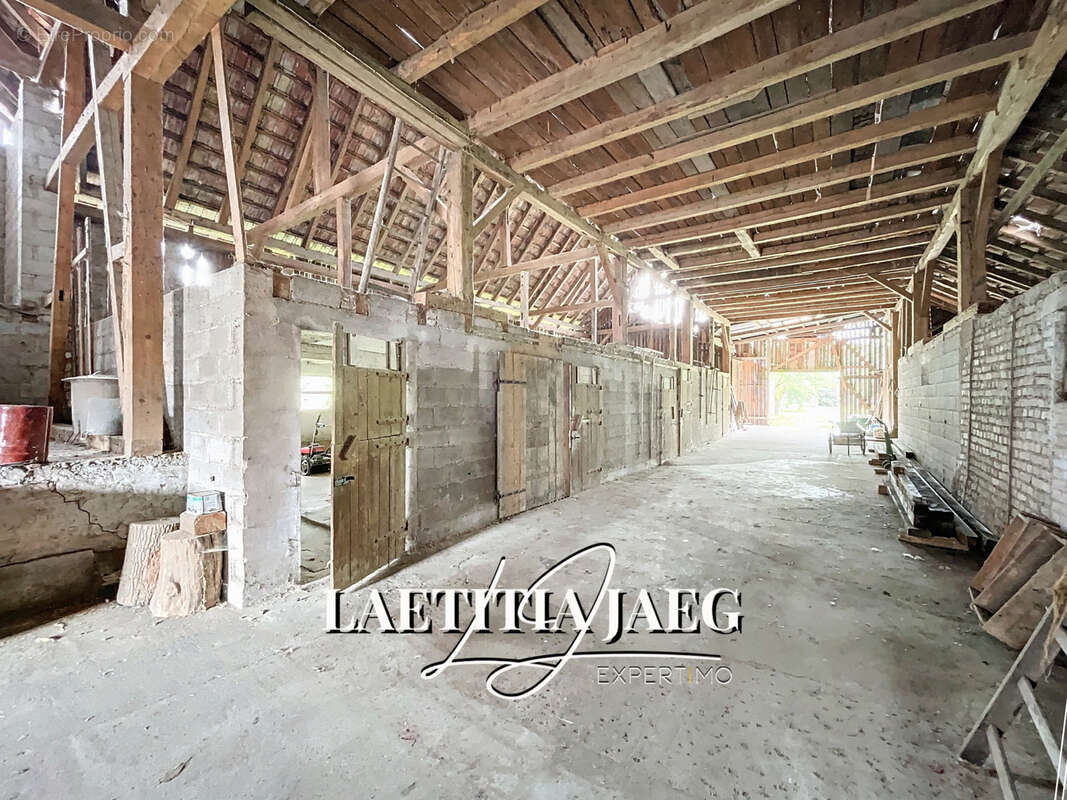 Terrain à BOOFZHEIM