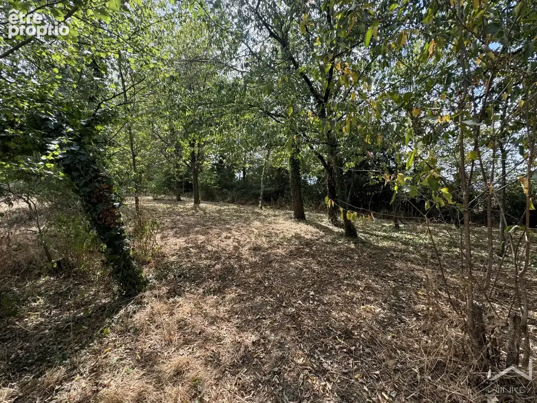 Maison 4 chambres   140 m2   5 000 m2 de terrain   Guichen - photo 6