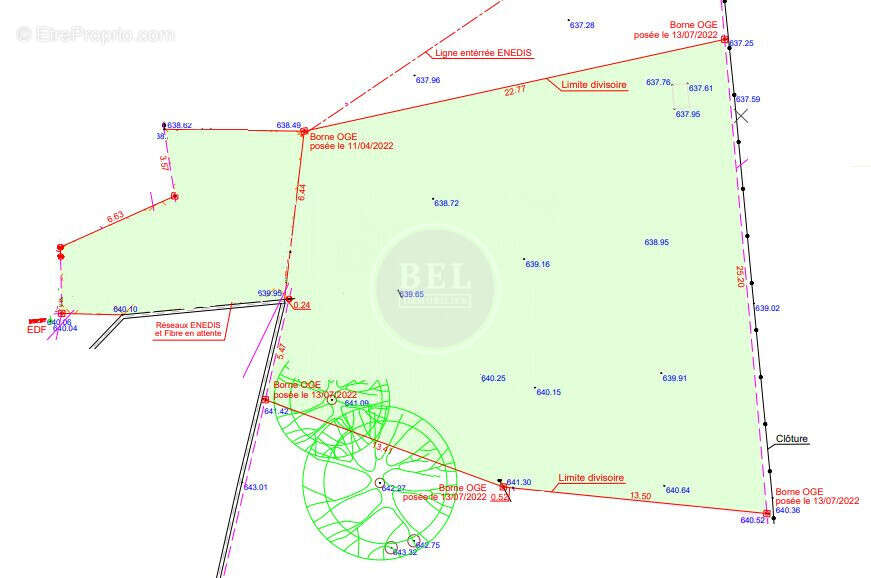 Terrain à CHAZELLES-SUR-LYON