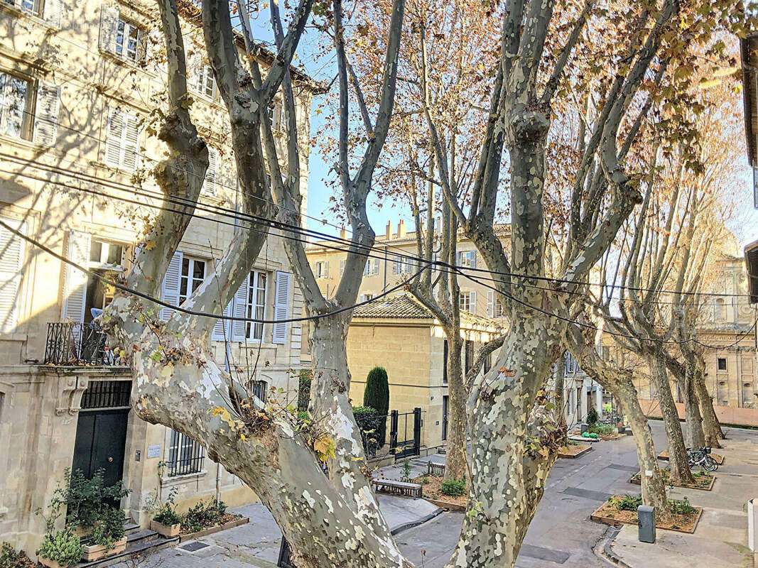 Appartement à AVIGNON