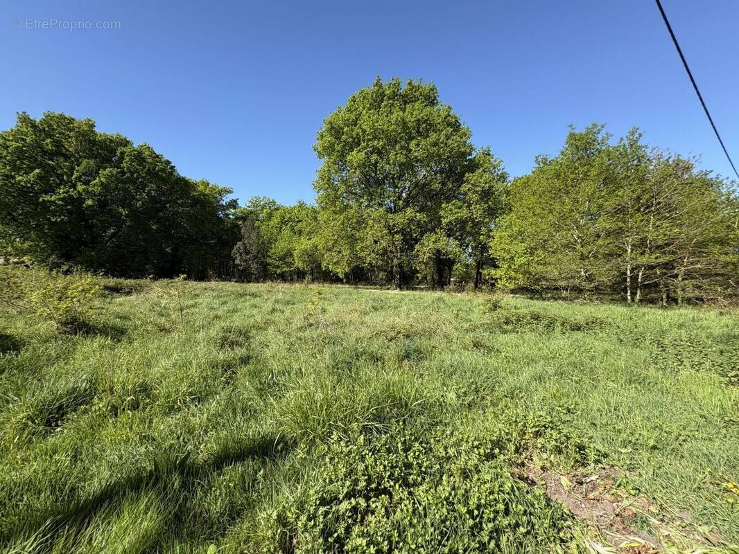 Terrain à CASTELNAU-DE-MEDOC