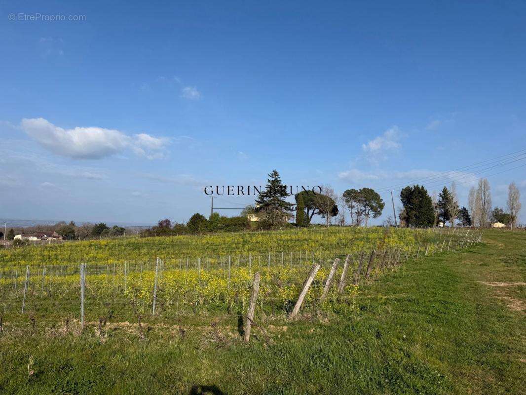 Terrain à MONBAZILLAC