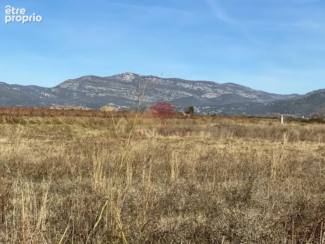 A  vendre terrain agricole de  24 831 m2 - photo 2