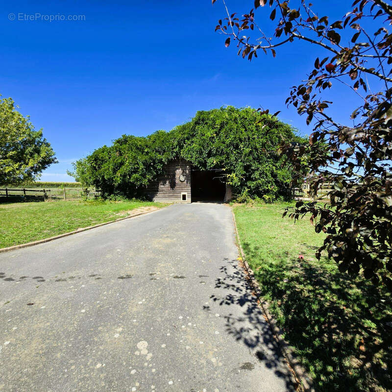Maison à CHATILLON-SUR-CHALARONNE