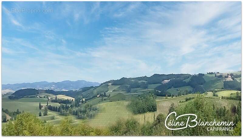 Maison à BELVEZE-DU-RAZES