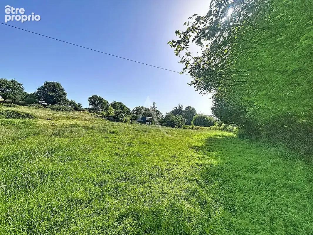 Terrain Loigne Sur Mayenne 23946 m2 - photo 4