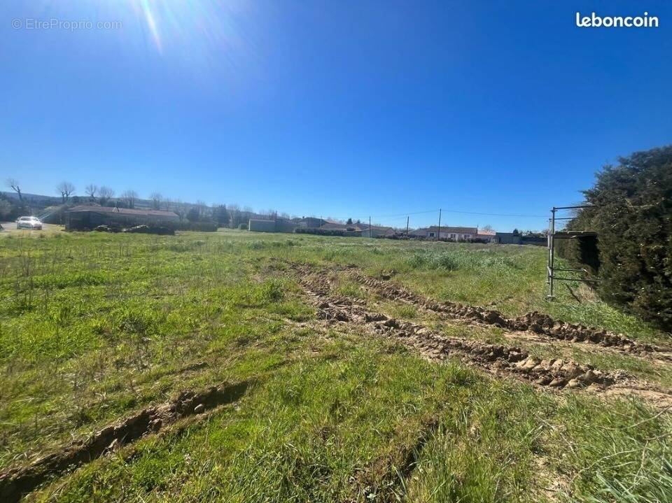 Terrain à CEPIE