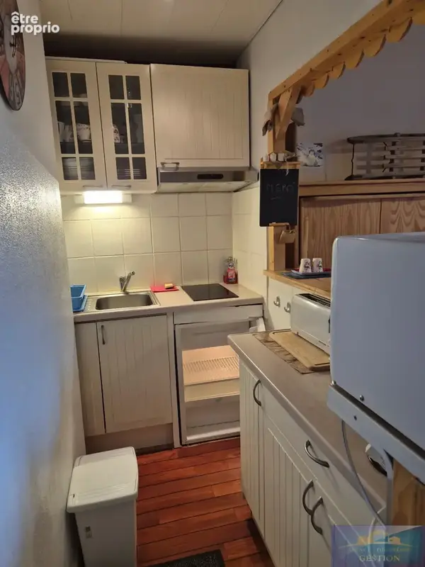 Studio centre ville / 21 m2 / vue montagne - photo 4
