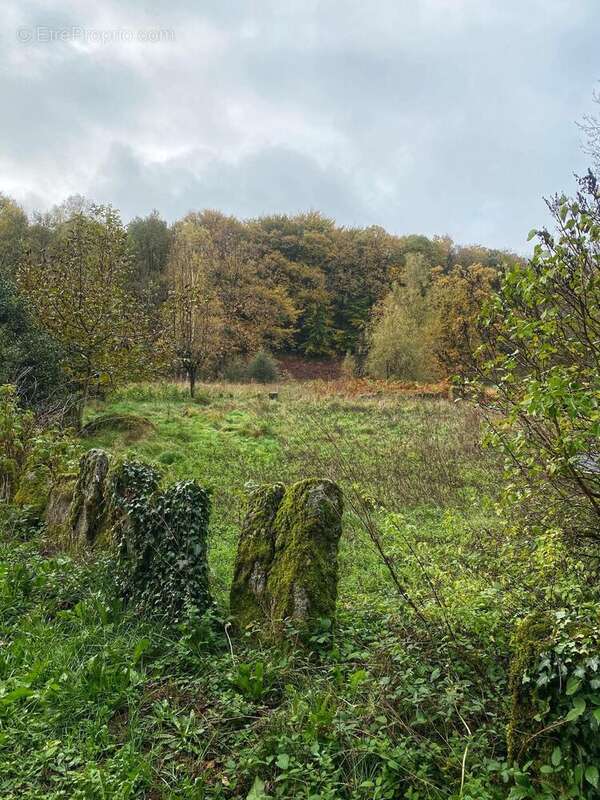 Photo 8 - Maison à LACROUZETTE