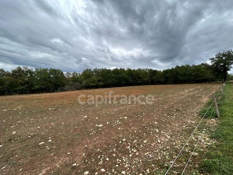 Terrain à vendre  16300m² SAINT PANTALY D'EXCIDEUIL (24) - photo 2
