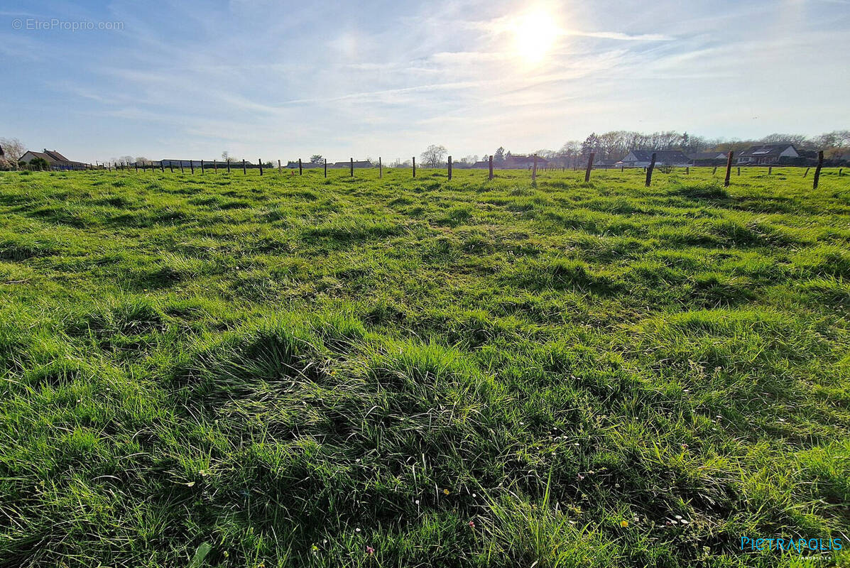 Terrain à SAINT-REMY