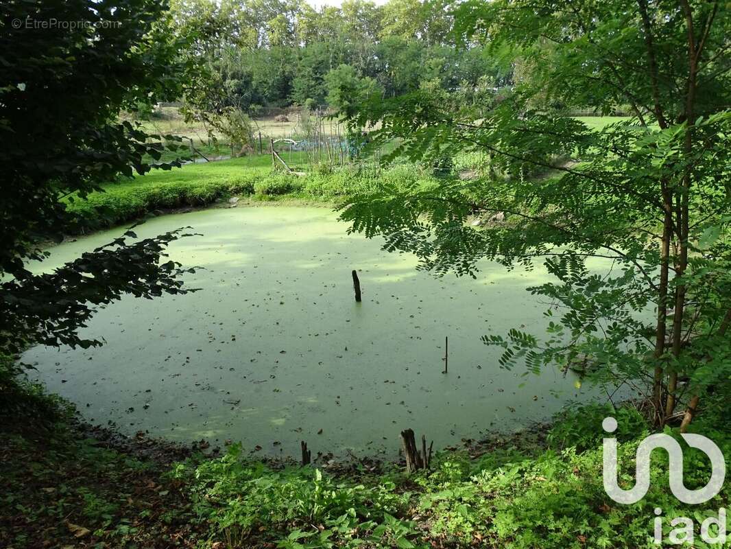 Photo 7 - Maison à FONTET