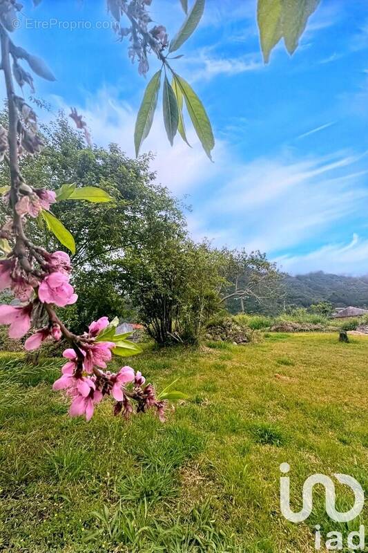 Photo 1 - Terrain à SAINT-LOUIS