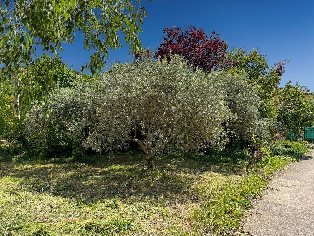 Maison à ORAISON