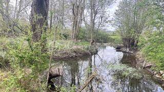 Terrain à SAINT-MAIXENT-L'ECOLE