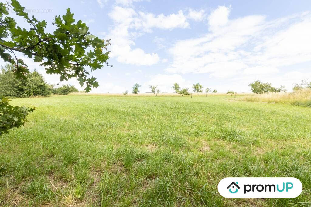 Terrain à GUENVILLER