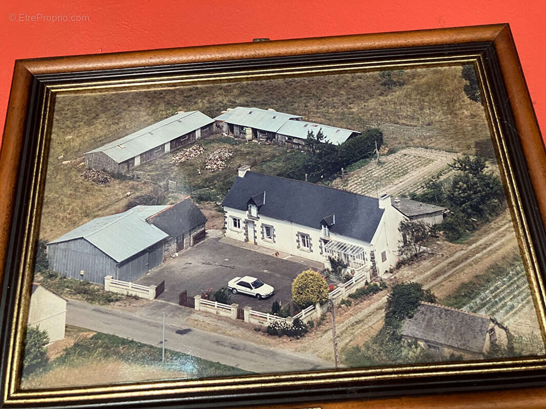 Maison à COLLINEE