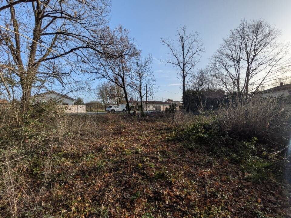 Terrain à MURET