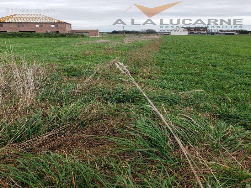 Terrain à HERGNIES