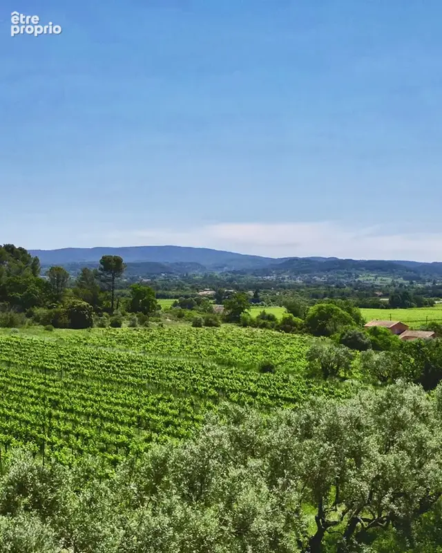 Ventoux   Domaine viticole de renom sur 18 ha - intimiste et vue dominante - photo 19