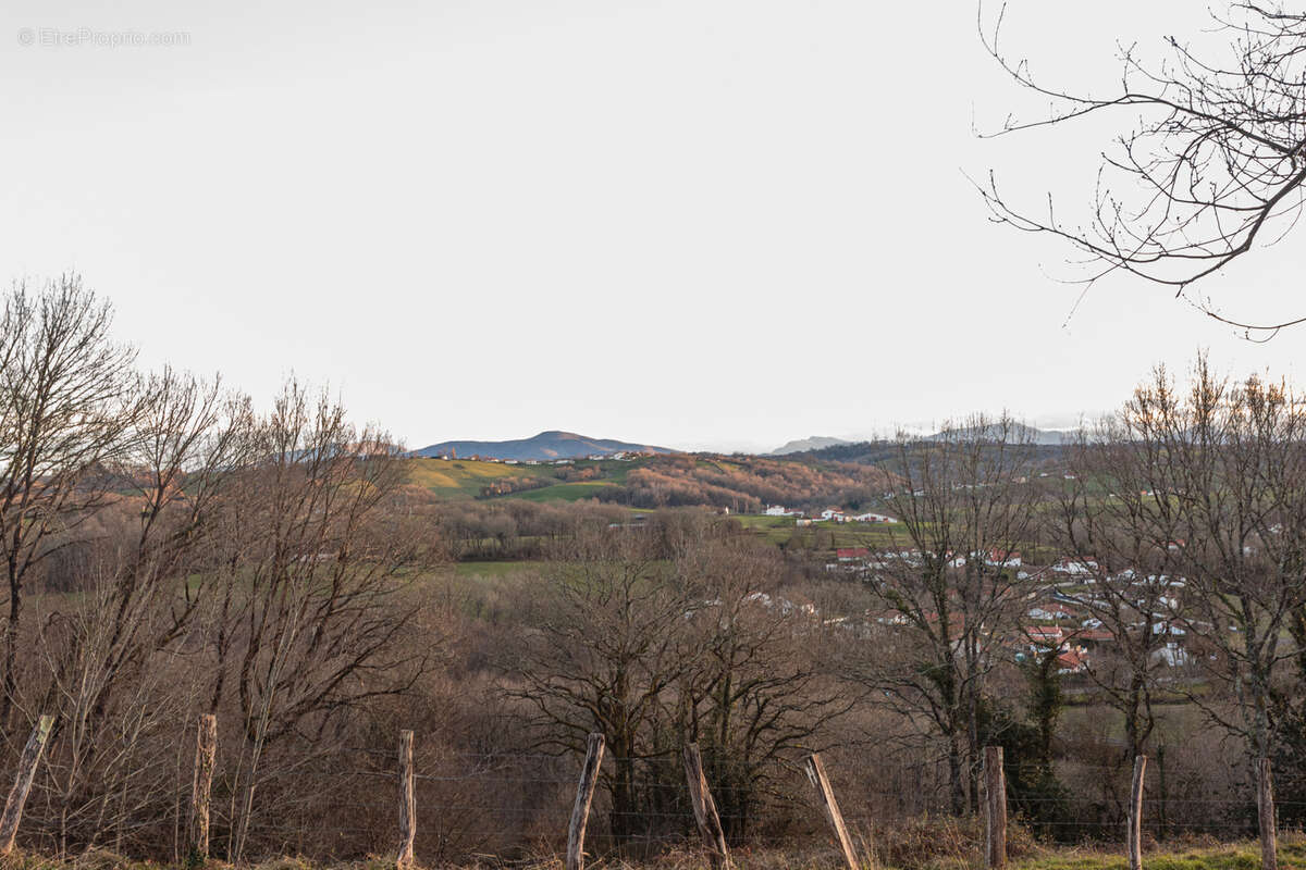 Terrain à BRISCOUS