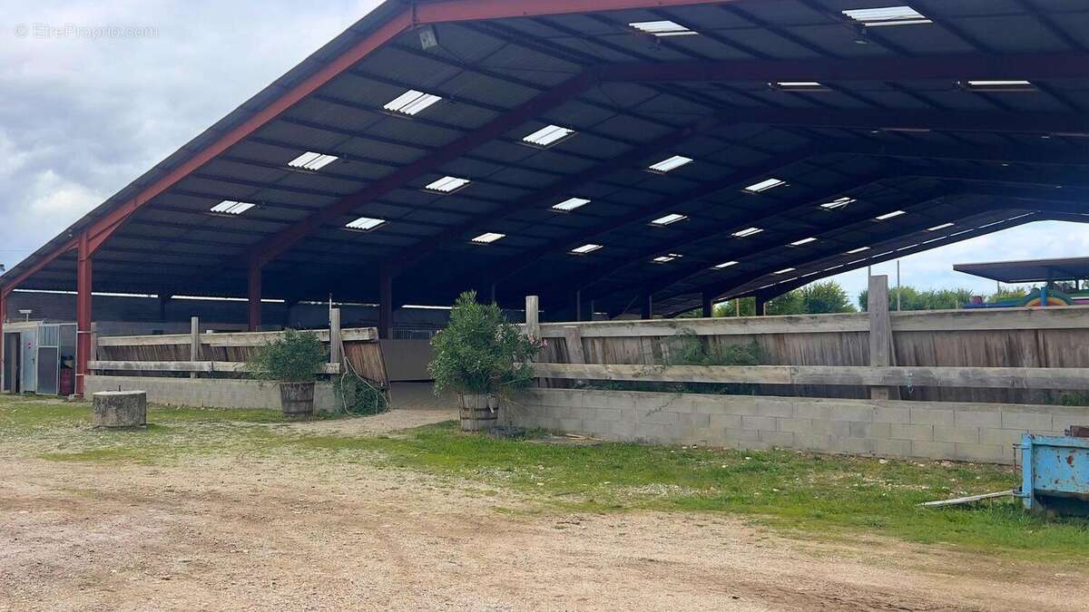 Photo 4 - Maison à GAILLAC