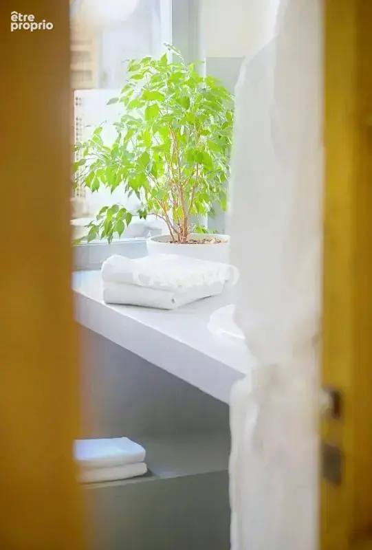 Vente Maison de ville 7 pièces de 324m² - 13200 Arles - photo 3