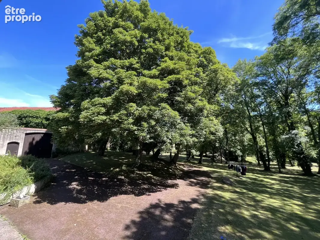 Propriété 10 pièces édifiée dans un parc de 8764 m2 - photo 5
