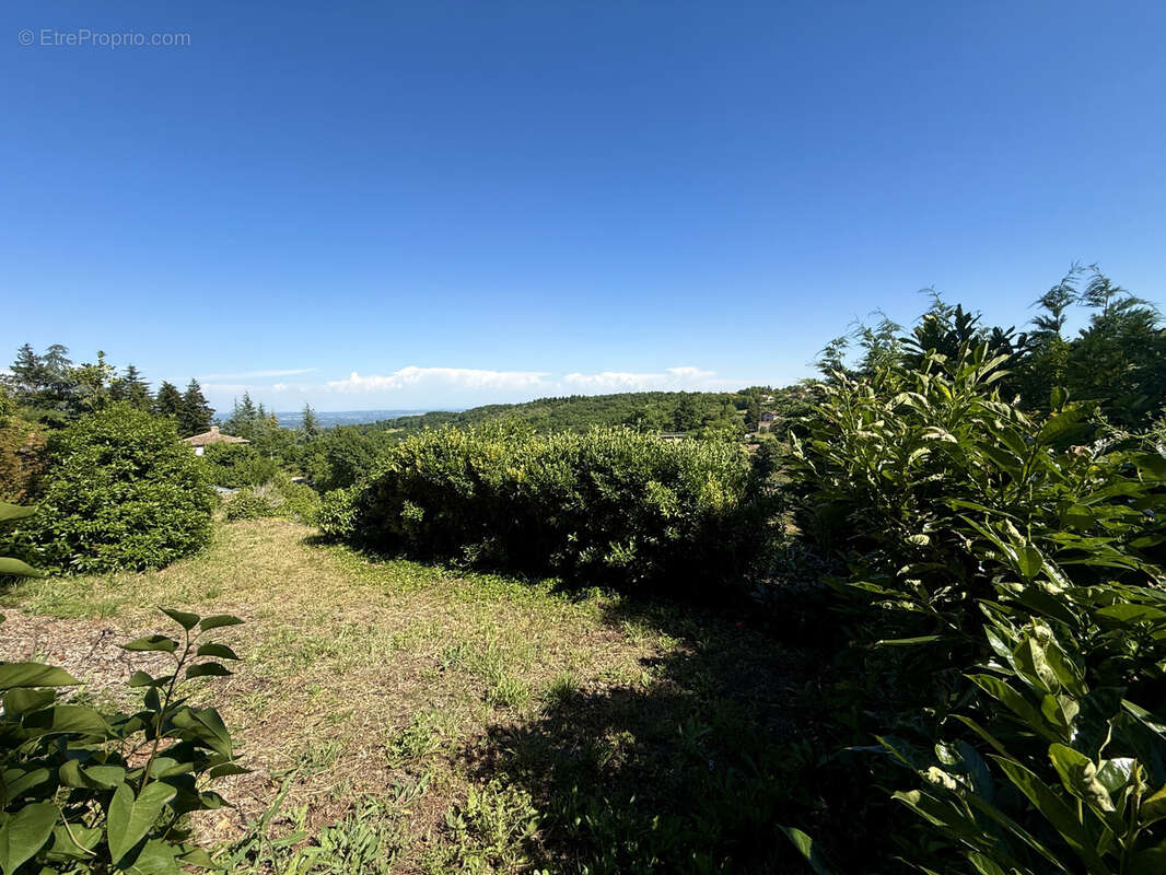 Terrain à PELUSSIN