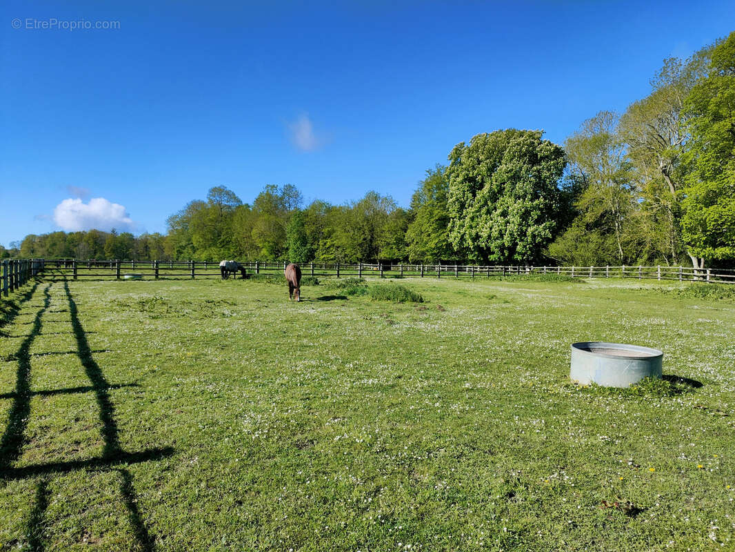 Propriété équestre avec 13 hectares - photo 34