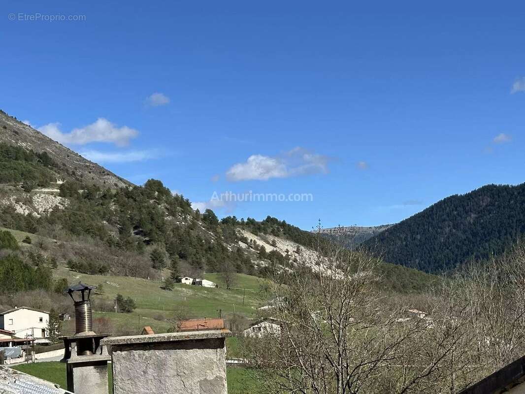 Vente Maison Lambruisse(04170) 49 500ï¿œ - photo 6