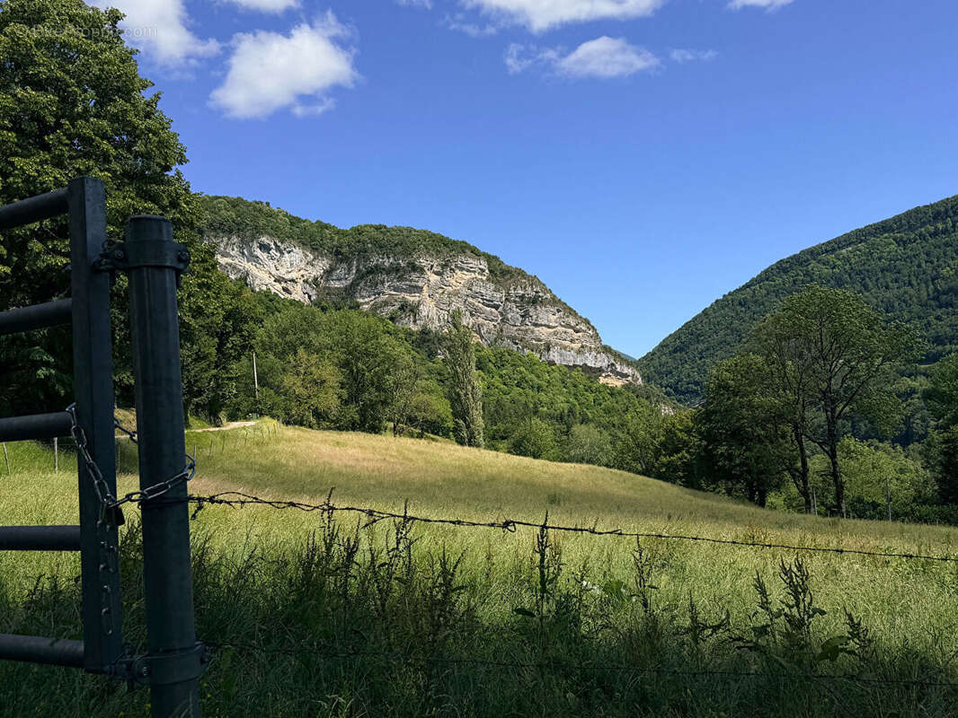 Domaine Saint Germain De Joux  ancienne ferme de 273 m2 sur 21 ha - photo 4