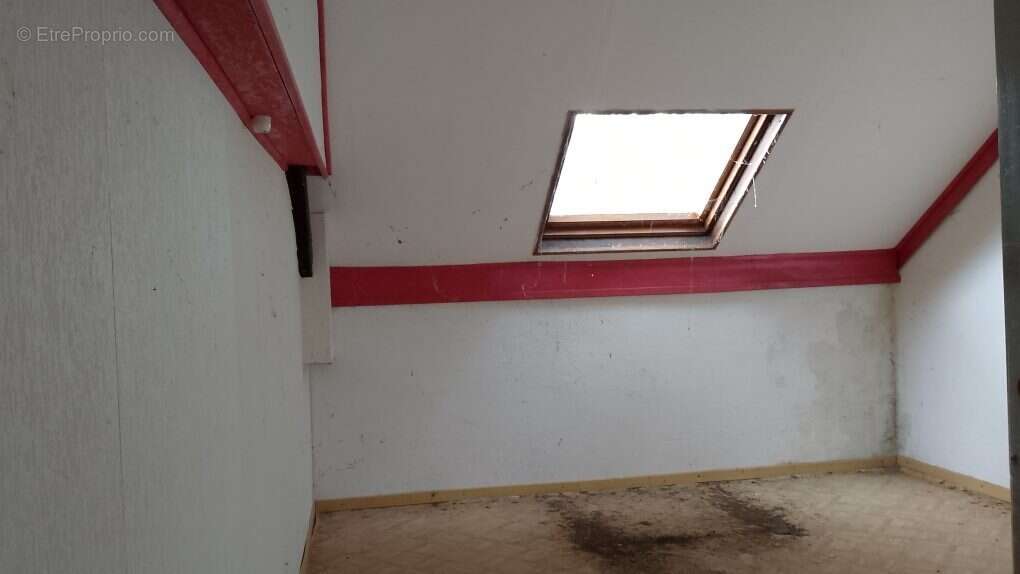 1er  1ere Pièce commerce - Maison à ARUDY