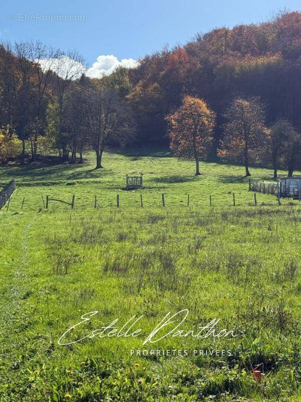 Terrain à LONGECHENAL