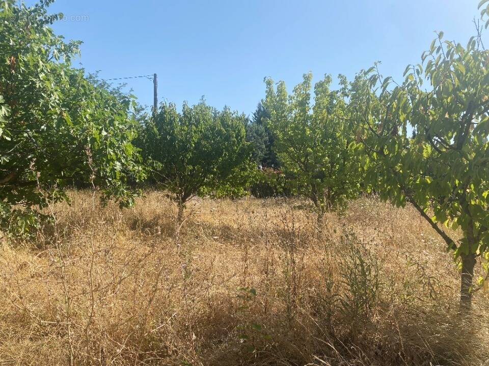 Terrain à LA CRAU