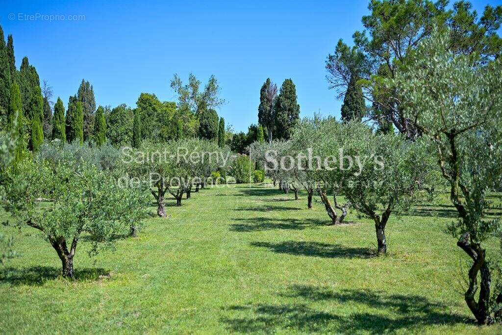 Maison à SAINT-REMY-DE-PROVENCE